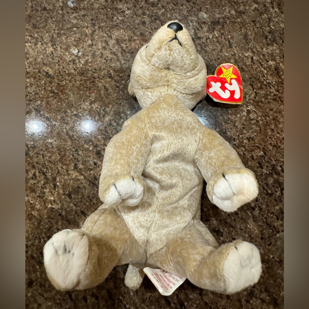 Ty Beanie Baby Almond The Bear DOB April 14, 1999 - Picture 6 of 8
